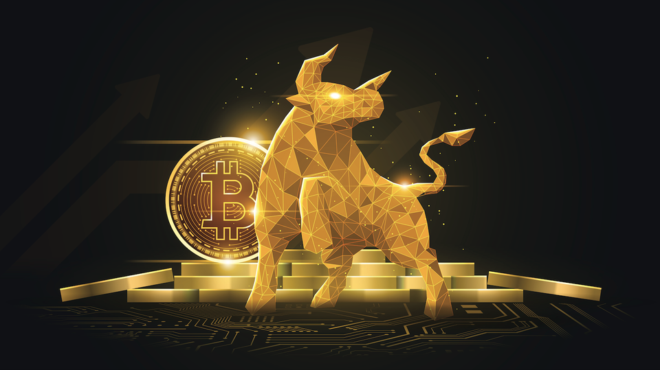 Kripto Crypto
