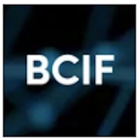 BCIF - Best Crypto Index Fund USD 69.319